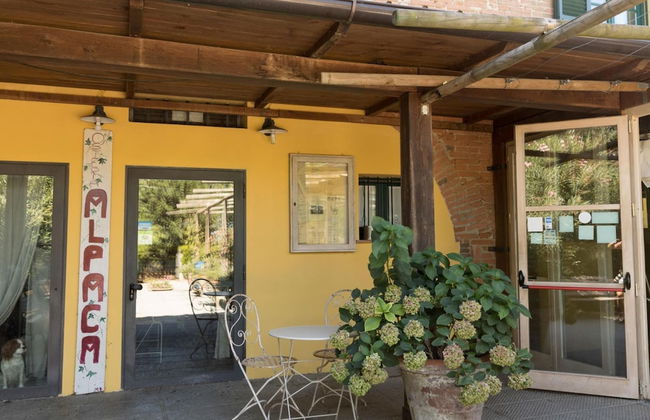 Farmhouse in Tuscany With Pool & Near Pisa - Foto 18