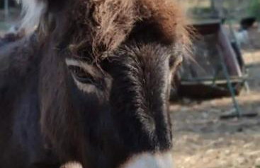L'Autre Perle, balnéo en supplément, le Clos des Perles - Foto 49