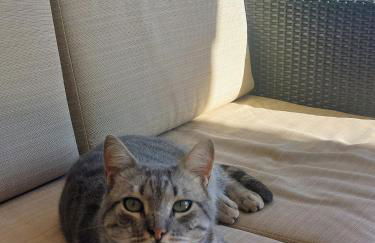 Dependance Pavoncella - Foto 32