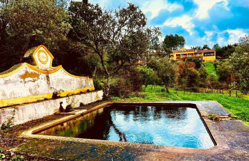 Quinta Castanheiro da Penha - Alegrete - Portalegre - Alentejo - Foto 29