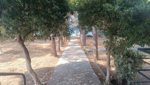 Makineia Sea Side House - Foto 5