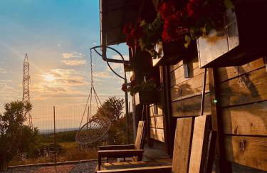 ΛΩΤΟΣ - Photo 28