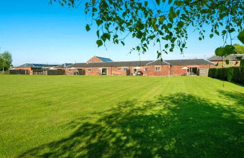 Woodpecker - Foto 15