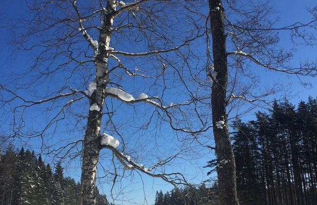 Great Stay Guest House Sandviken - Photo 25