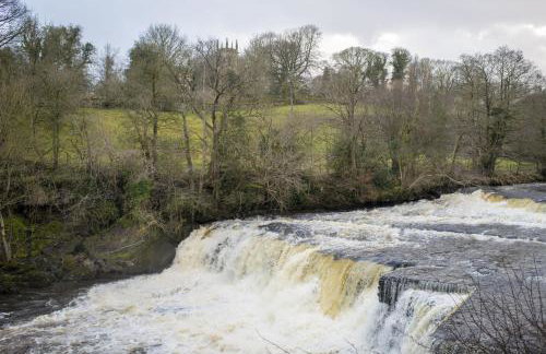 Jenny Wren Cottage - Photo 27