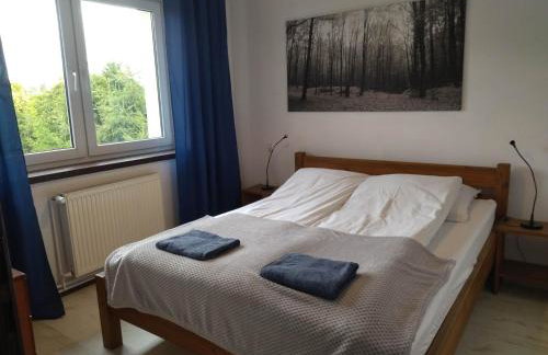 Apartamenty 47 - Foto 45