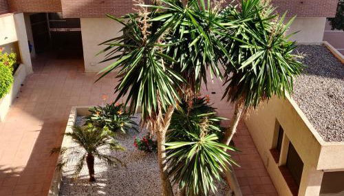 Apartamento Playa Delicias - Foto 5, Garden view