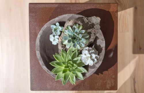 Tulipa Natural Home - Foto 33