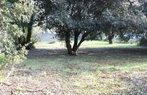 Maison calme à 300m de la plage avec véranda et grand jardin - FR-1-246A-367 - Foto 18