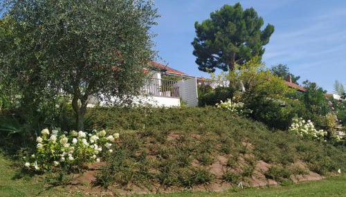 Casa Fellini - Foto 3