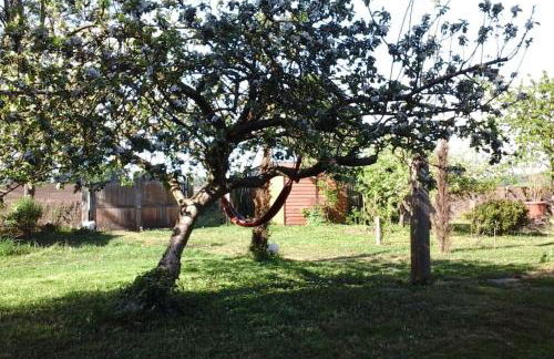 Maison au cœur du Perche - Foto 11