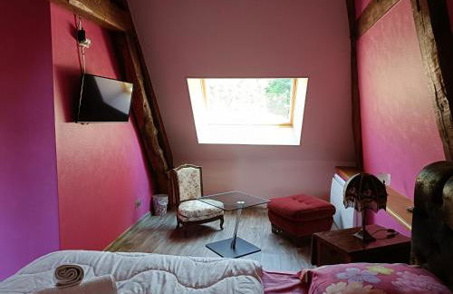 DOMAINE DE JANVILLE - Foto 29