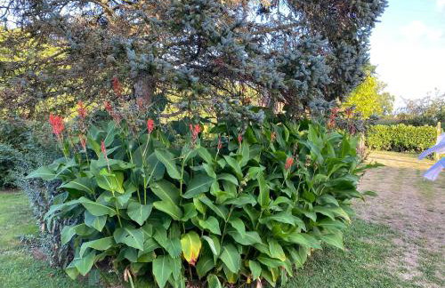 La Barberie à Saint-Marcouf - Foto 21