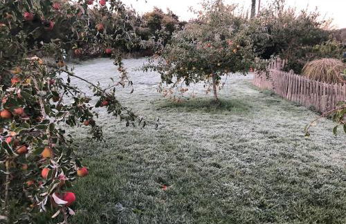 Ty Gylfinir - Foto 6