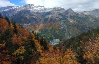 Carlina Canfranc - Foto 42