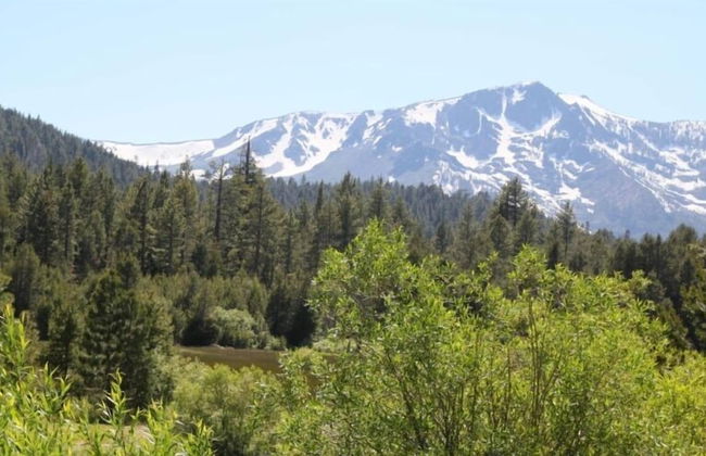 1858 Venice Drive - Foto 23