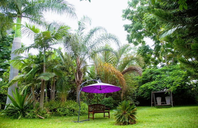 Lush Gardens Apartment 2 - Photo 24