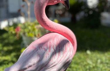 Zoel's House in Chalkidiki - Foto 21