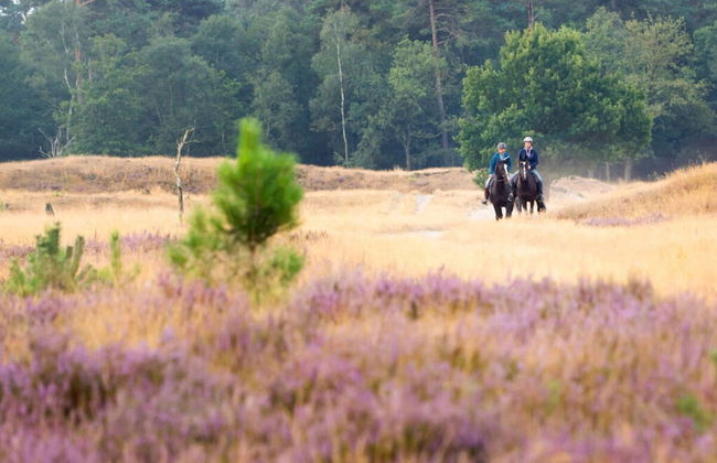 Paviljoen 4 Personen - Photo 19