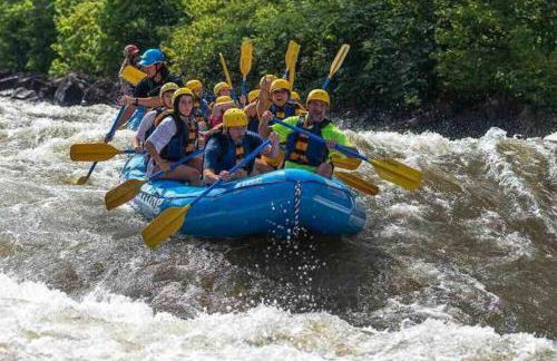 Red Roof-Cozy Cabin with Great Views, Hot Tub and near Bryson City - Foto 8