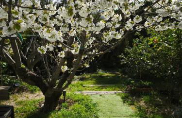 Rez de villa avec beau jardin et belle vue - Foto 16