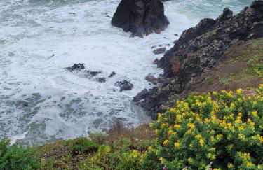 Résidence Le Pharo - Photo 40