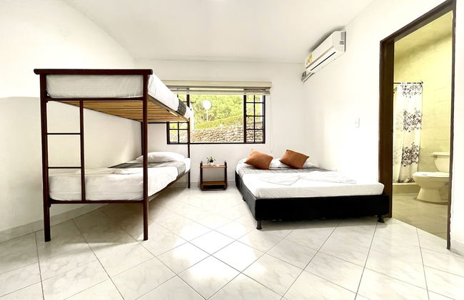 San Lorenzo - Foto 3