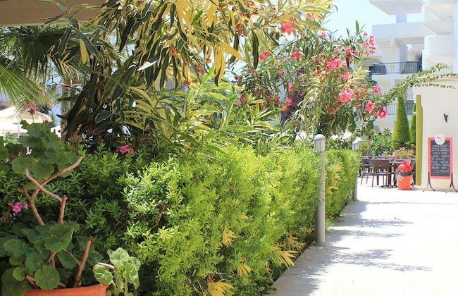 Sea Melody Beach Hotel & Apartments - Foto 24