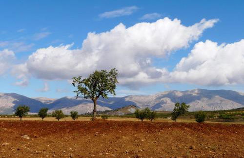 Cortijo La Estrella - Foto 23