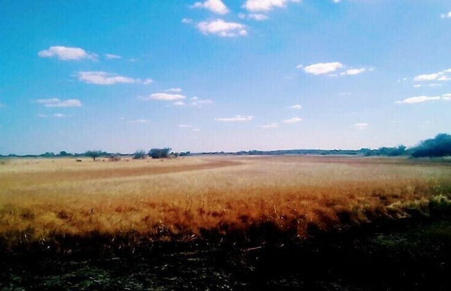 Thetu campsite - Foto 17