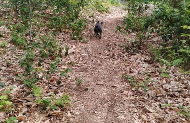 LA TERRASSE DE NOTRE DAME - Foto 62