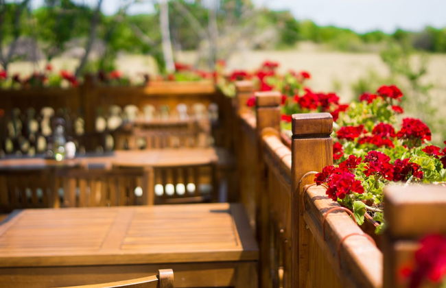 Wine & SPA Complex Starossel - Foto 56