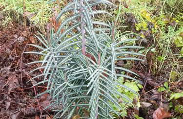 La Puerta del Sol - Foto 56