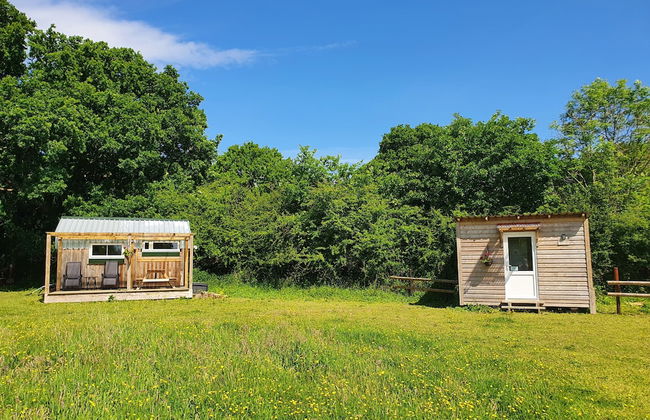 Dartmoor Reach Alpaca Farm - Foto 44