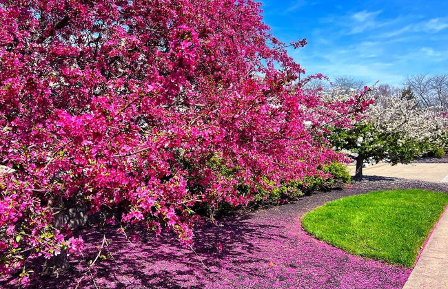 Oakley Square 3br Charmer - Total Walkability 3 Bedroom Home by RedAwning - Foto 26