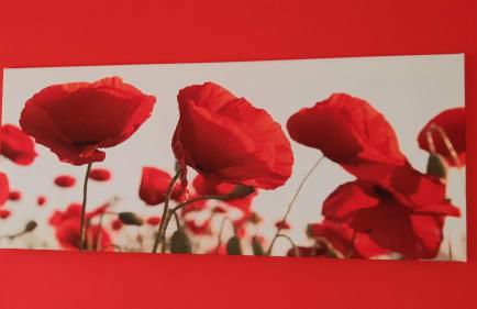 Le Palme Sona - Foto 9