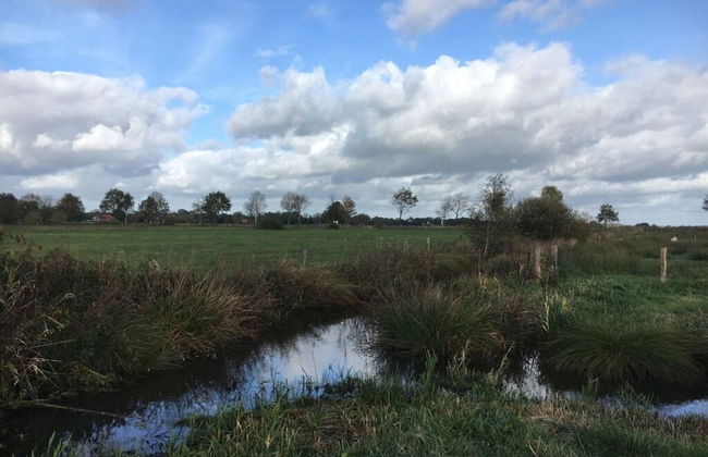 See.eck Timmel Modern Retreat - Photo 13