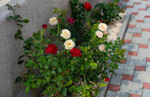 Villa Verbena - Photo 8