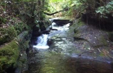 Bangalô - Sítio Cachoeiras do Caledônia - Foto 24