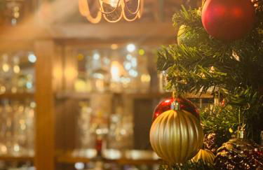 Stargazy Garden - Foto 16