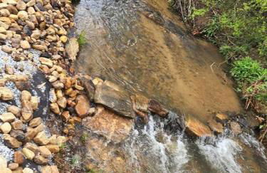 Lazy Bear Retreat by the Creek - Foto 8