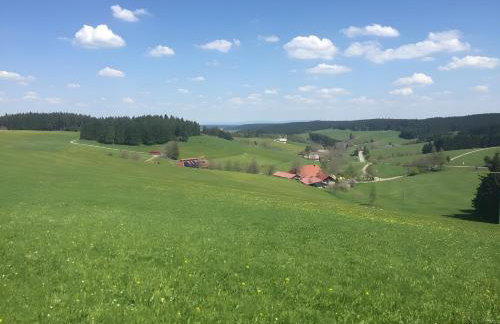 Blackforest Ferienwohnung - Foto 31