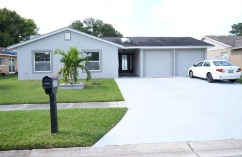 Hosting 1 - Photo 18