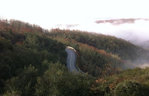 Candeias do Souto - Foto 33