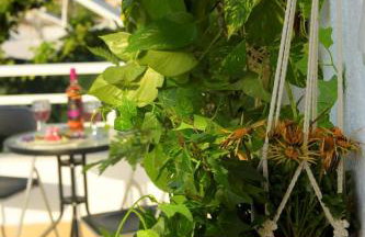 Emerald Private Villa in Kalavarda Rhodes - Foto 73