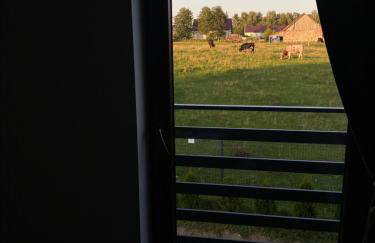 Białe Żagle Mazury - Foto 17