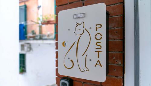 Il gatto Franco - Foto 3