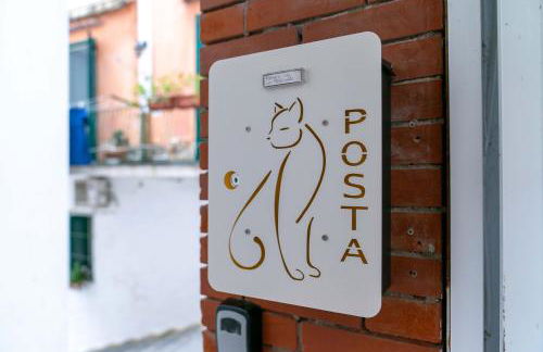 Il gatto Franco - Photo 3