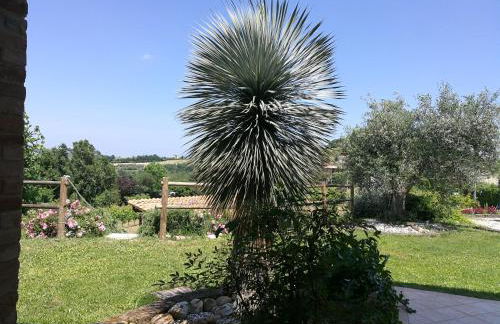 Agriturismo San Michele - Foto 21