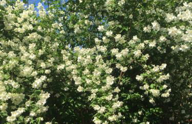 Augsburg-Bergheim E. - Foto 18